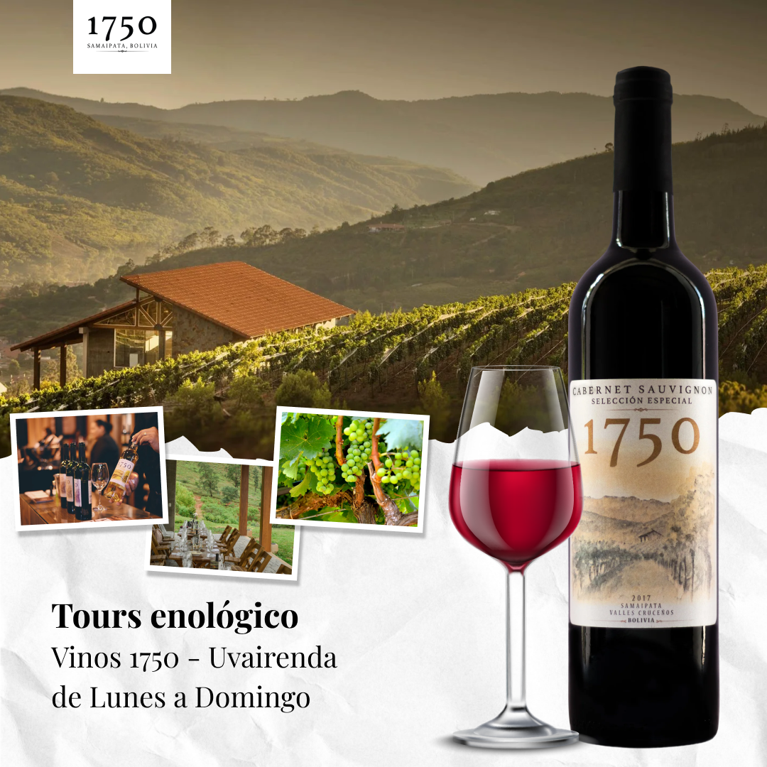 Tours enológico Vinos 1750